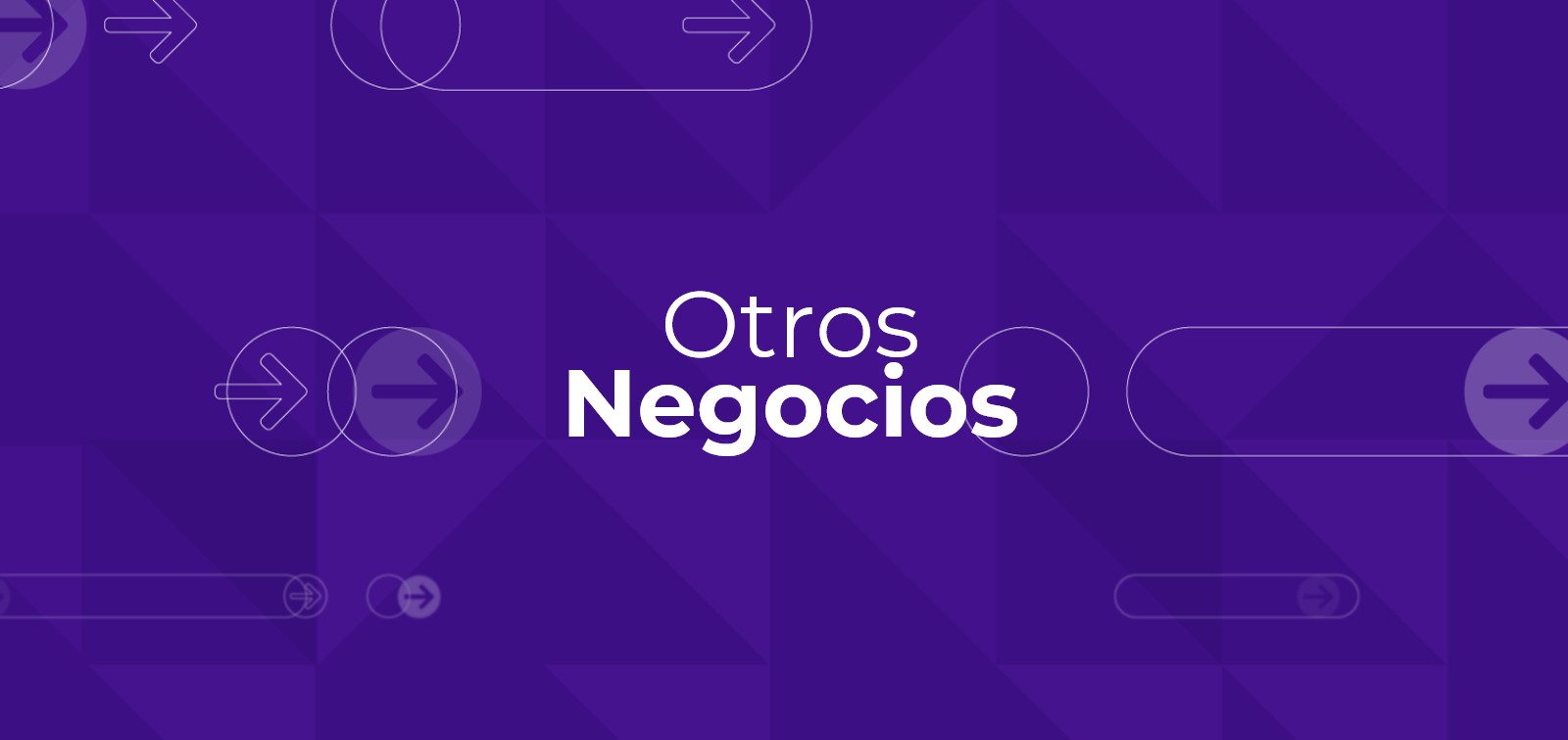 Otros Negocios