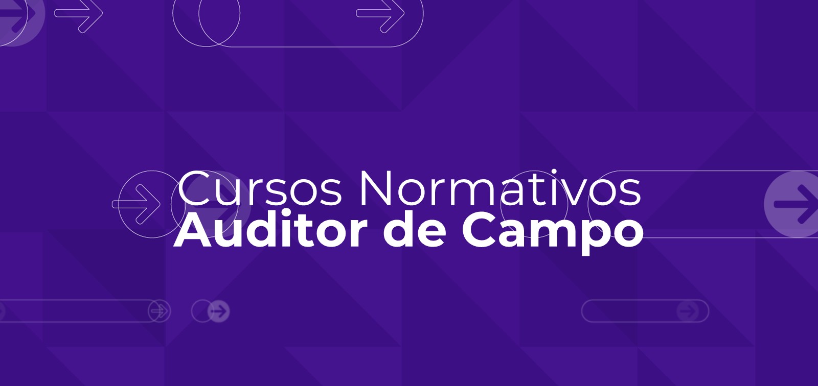 Auditor de Campo